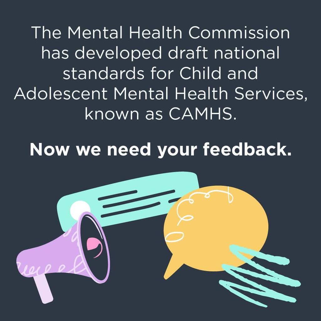 CAMHS draft standards consultation (002)